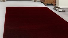 Covor Ata Rosu 240x340 cm - Eleganta si Comfort pentru Orice Spatiu