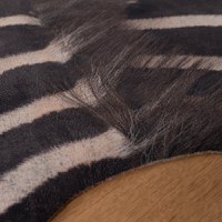 Covor forma animal My Toledo Zebra 155x190 cm - 4