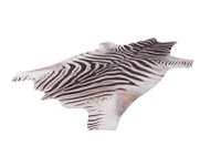 Covor forma animal My Toledo Zebra 155x190 cm - 5