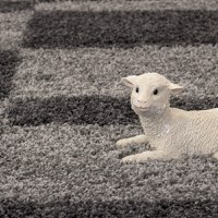 Covor Gala Gri 60x110 cm - 3