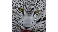 Covor Kolibri Leopard, 160x230 cm