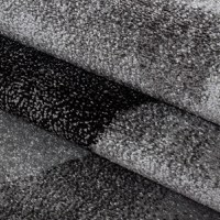 Covor Lucca Negru 200x290 cm - 5