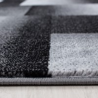 Covor Miami Negru V1 120x170 cm - 3