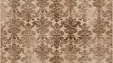 Covor Modern Daffi Maro, 120x170 cm