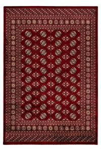 Covor My Ariana Rosu 160x230 cm - 1