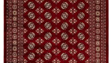 Covor My Ariana Rosu 160x230 cm