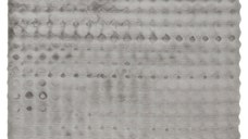 Covor My Aspen Argintiu 200x290 cm