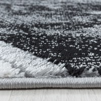 Covor Naxos Silver V7 80x150 cm - 4