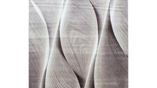 Covor Parma Maro V3 280x370 cm - Design Elegant pentru Orice Interior