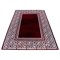 Covor Parma Rosu V1 120x170 cm - 2
