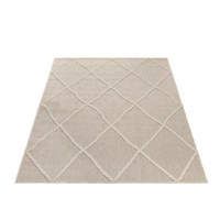 Covor Patara Bej V2 240 x 340 cm - 3