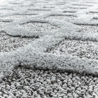 Covor Pisa Gri 200x290 cm - 5