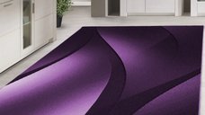 Covor Plus Lila V3 160x230 cm