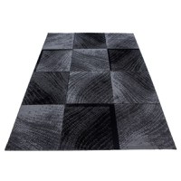 Covor Plus Negru V2 280 x 370 cm - 3