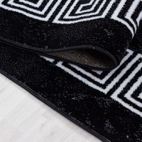 Covor Plus Negru V5 200x290 cm - 3