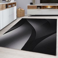 Covor Plus Negru V6 240 x 340 cm - 2