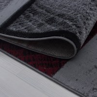Covor Plus Rosu V1 200x290 cm - 3