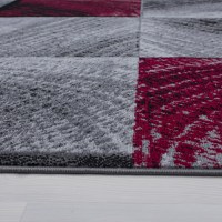 Covor Plus Rosu V1 200x290 cm - 4
