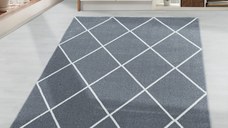 Covor Rio Silver V2 80x150 cm