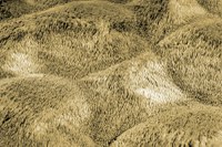 Covor rotund Diamond Cut Galben inchis 200x200 cm - 5