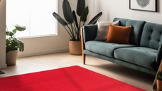 Covor Sky V1 Rosu 80 x 150cm