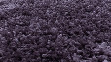 Covor Sydney Violet 120x170 cm