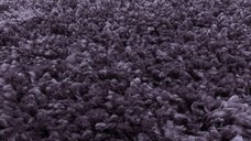 Covor Sydney Violet 120x170 cm