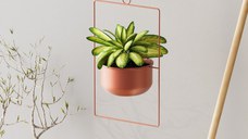 Ghiveci decorativ Parapet Cupru 25x40x17 cm
