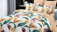 Lenjerie cu Elastic 180x200 Tater 6 Piese (Finet)