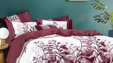 Lenjerie Danielle 4 piese (Bumbac Satinat)