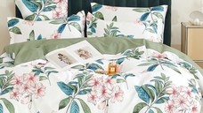 Lenjerie Juliet 6 Piese (Finet)