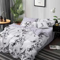 Lenjerie Magnetic 6 piese (Finet) - 1