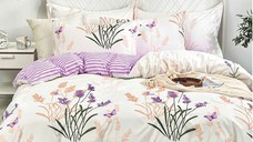 Lenjerie Rayan 4 Piese (Bumbac Satinat)