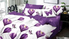 Lenjerie Zulimar 6 piese (Finet)