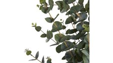Planta Artificiala Eucalipt Verde - 36x46x120 cm