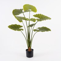 Planta decorativa cu ghiveci Alocasia Verde 90x90x120 cm - 1