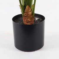 Planta decorativa cu ghiveci Alocasia Verde 90x90x120 cm - 3