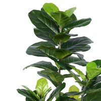 Planta decorativa Fiddlehead in ghiveci plastic PP verde 120 cm - 2