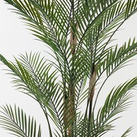 Planta decorativa Kwai Verde 125x125x180 cm - 2