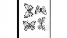 Poster Butterfly Collection III cu rama neagra, 40x60 cm