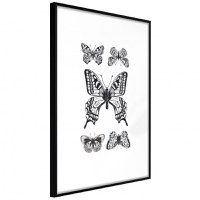 Poster - Butterfly Collection IV, cu Ramă neagră, 40x60 cm - 1