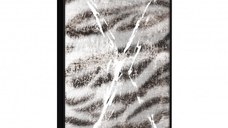 Poster - Predator Skin, cu Ramă neagră, 30x45 cm