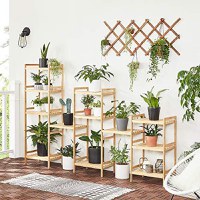 Raft baie, Songmics, Natural, 45x31.5x79.5 cm - 3