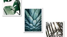Set 3 tablouri decorative Frolig 2469 Multicolor 90x2,7x40cm