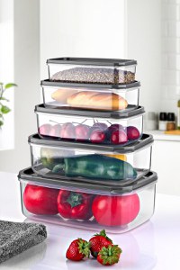Set cutii de depozitare (5 bucati) EMBSEF05 Transparent 22.5x15x8 cm - 1