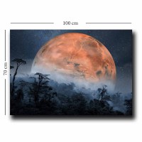 Tablou 70100NISC Portocaliu 70x100 cm - 2