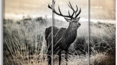 Tablou Canvas Dangerous Horns I 90x60 cm - Bimago