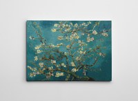 Tablou canvas WY113 Multicolor 70x100 cm - 3
