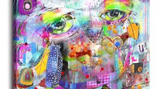 Tablou - Colourful Owl 40x40 cm