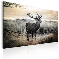 Tablou - Dangerous Horns 120x80 cm - 1